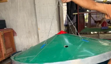 শুধু হোভার